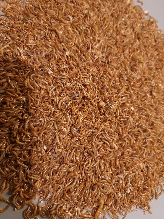 Predator Foods Bulk Live Mealworms- Medium ~.5" - 1,500-20,000 Count (3000)