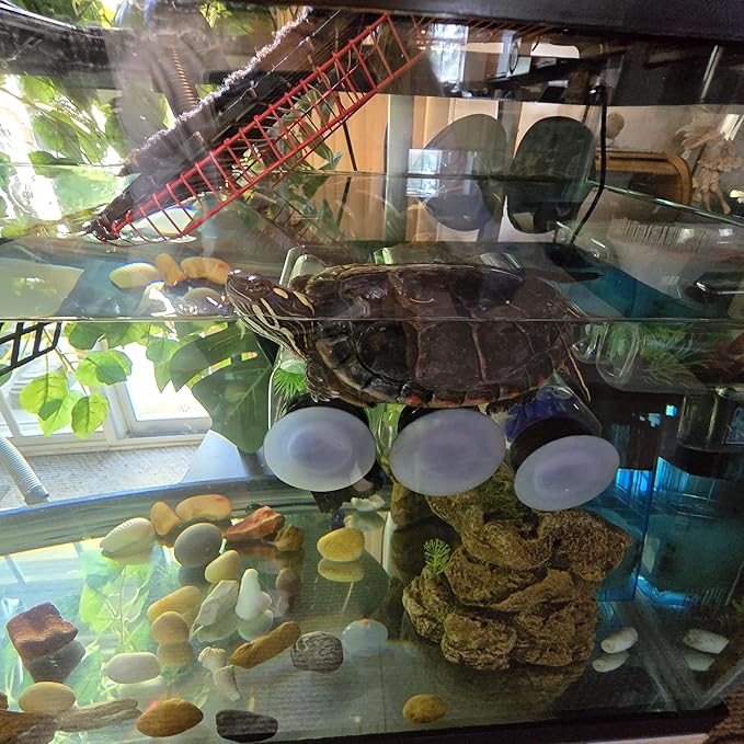 Aquarium Decor Plastic Plants Suction Cups 2 Large Bottles Turtles Platform Pet Supplies Handmade