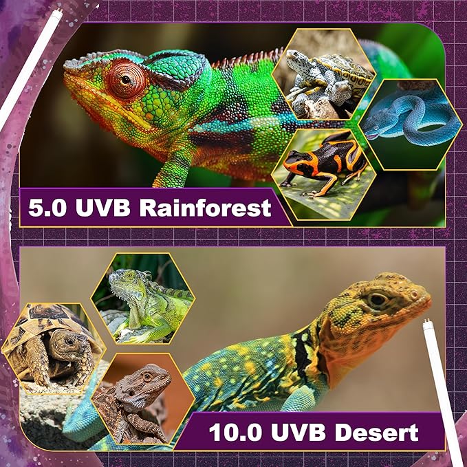 5.0 UVB Light for Reptiles, T5 HO 24 Watt Reptile Lamp Tube, Pack of 2 Fluorescent UVB Bulb, Basking Light for Bearded Dragon, Simulate Natural Sunlight for Reptiles and Amphibians