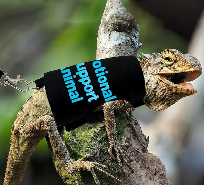 2 Pack Bearded Dragon Harness and Leash Set,Escape Proof Lizard Reptiles Harness Small Animal Traction Rope Training Walking Vest for Reptile Squirrel Rat-Blue&Pink
