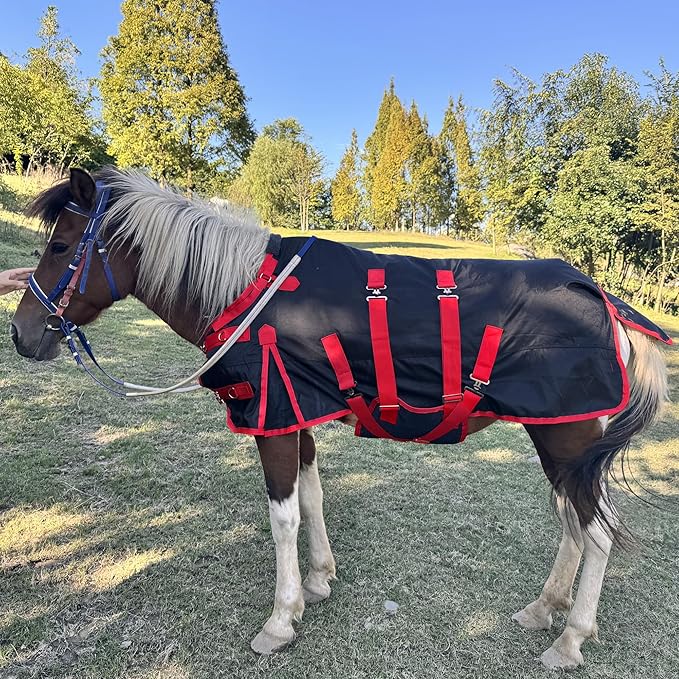 Mini Horse Pony Foal Miniature Horses Turnout Blanket, Winter Blanket for Horses with Belly Wrap, Donkey Blanket, 1200 Denier Waterproof &Breathable/220g Filling (51IN)