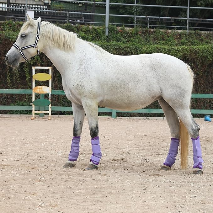 LEAFOREST Horse Fly Boots Set of 4 - Non Slip Leg Protection for Donkey Mini Pony Draft, Breathable Mesh Fly Boots for Pasture & Barn Use Violet Cob