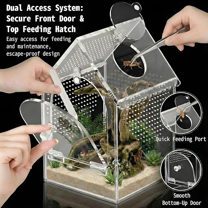 Jumping Spider Enclosure (5" *5" *8") Warp-Proof Seamless Acrylic Tarantula Terrarium with Magnetic Door & Feeding Hatch for Praying Mantis,Snail,Hermit Crabs,Reptile(Includes Decorative Accents)