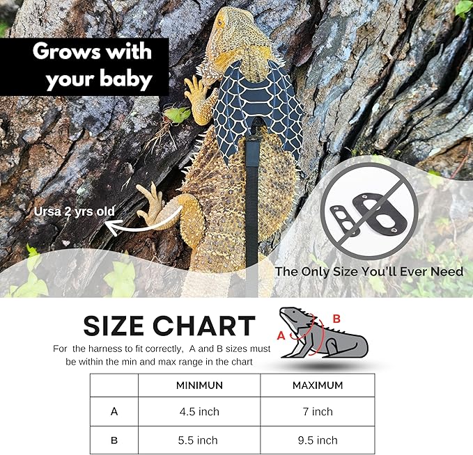 Bearded Dragon Leash and Harness Set, Leopard Gecko Leash, Wings & Butterfly Wings, Comfortable Fit, Retractable and Escape-Proof Lizard Harness and Leash, Bearded Dragon Accessories.