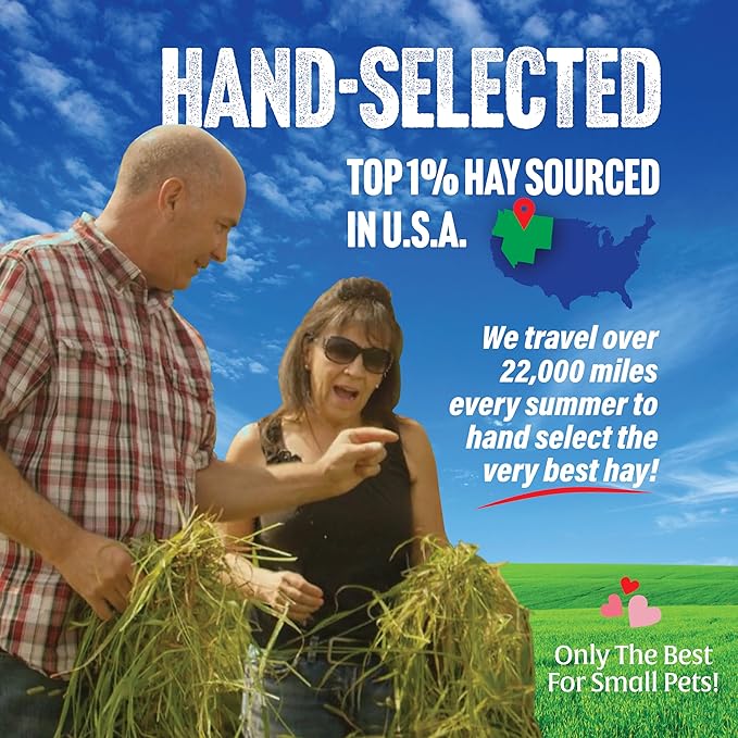Small Pet Select 3rd Cutting Timothy Hay, Animal Food for Guinea Pig, Rabbit, Hamster, Bunny, or Chinchilla, Natural Hay Grown in The USA, 40lb