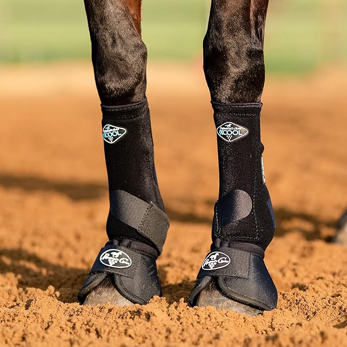 Professional's Choice 2XCOOL Sports Medicine Horse Boots | Protective & Breathable Design for Ultimate Comfort, Durability & Cooling in Active Horses | 2 Pack Large Black