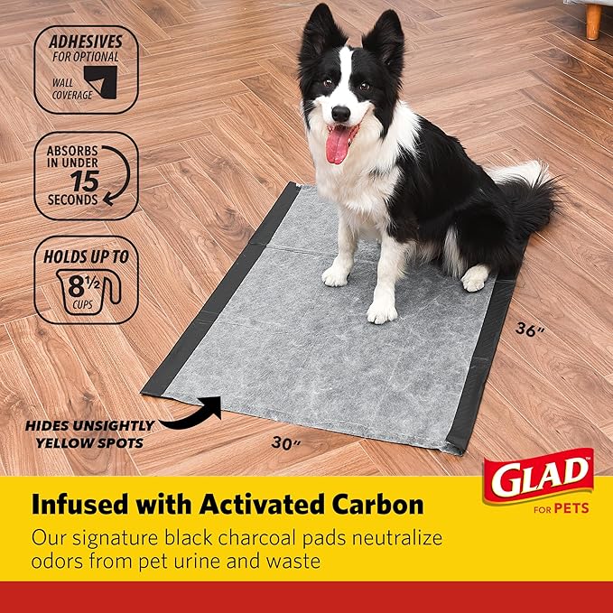 Glad for Pets Day to Night Activated Carbon Puppy Training Pads, Odor Control Disposable Dog Pads with Adhesive and Wall Protection, Leak Proof and Super Absorbent, 30 x 36 Inch, 24 Count - 2 Pack