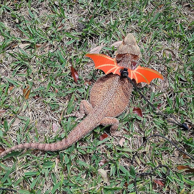 ADOGGYGO Bearded Dragon Leash Harness, 3 Size Pack Orange Lizard Wing Harness with Removable Leash for Bearded Dragon Lizard Reptiles