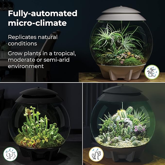 biOrb AIR 30, Fully Automated Terrarium for Arid, Temperate, or Tropical Plants, Gray