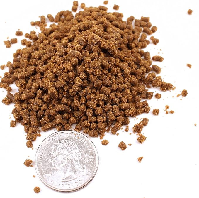 Frog and Tadpole Bites Aquatic Frog Food (1.2 oz)