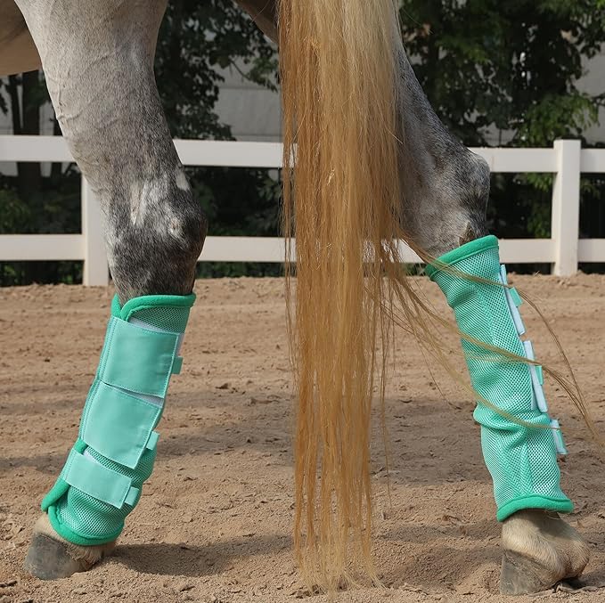 LEAFOREST Horse Fly Boots Set of 4 - Non Slip Leg Protection for Donkey Mini Pony Draft, Breathable Mesh Fly Boots for Pasture & Barn Use Green Cob