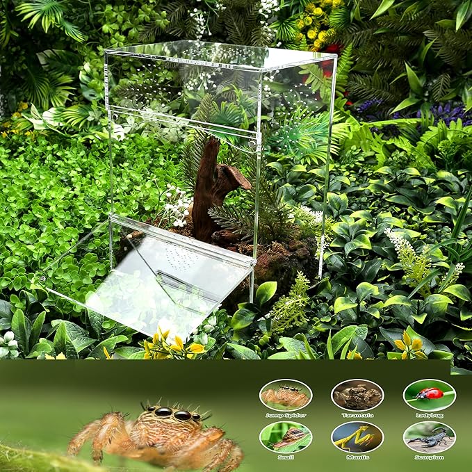 Acrylic Tarantula Enclosure Jumping Spider Enclosure with Front Opening Door 7.8 * 5.3 * 10 Inches Micro Habitat Terrarium for Small Tree Dwelling Reptiles, Spiders & Invertebrates
