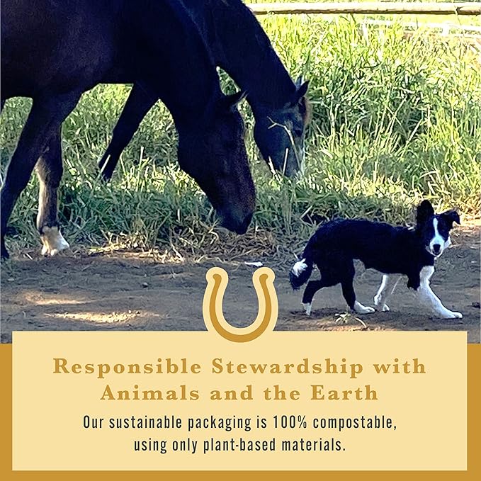 Withers & Withers Sugar-Free Horse Treats – Cinnamon with Oat Bran Horse Cookies, Goat Treats, Healthy Treats for Horses 16 Oz, 100% Compostable Bag – Humane Plant-Based Ingredients