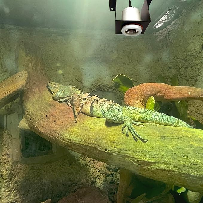 2-Pack Reptile Ceramic Heat Lamp Holders, E26 Socket for Lizards, Tortoises, Amphibians, Terrariums, 200W Max, Bulbs Not Included