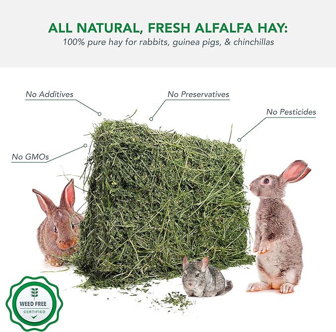 Alfalfa Hay for Rabbits & Small Pets, 10 lbs