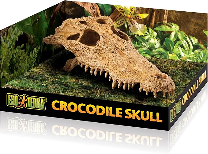Exo Terra Crocodile Skull Terrarium D