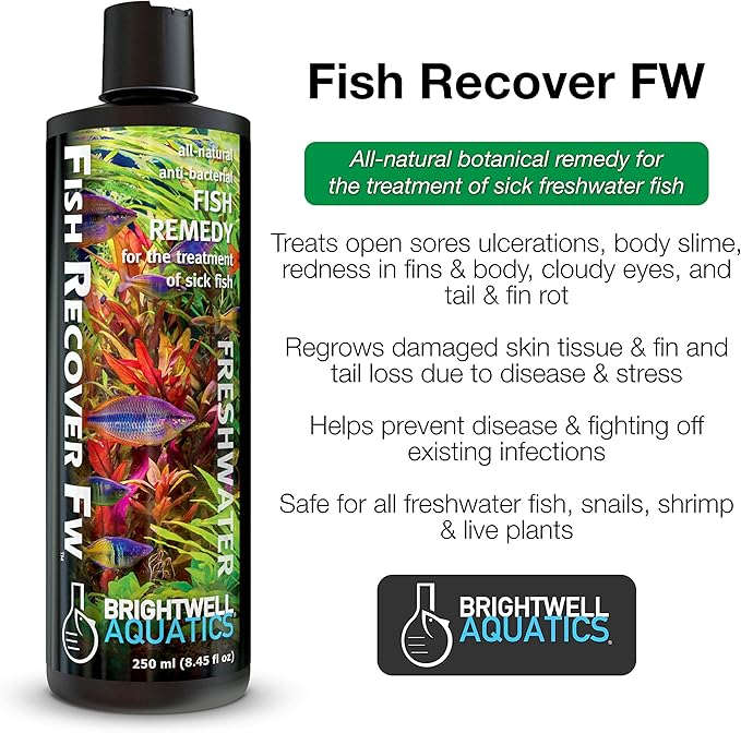 Brightwell Aquatics Fish Recover FW, Natural Herbal Medication for Open Sores, 20 L