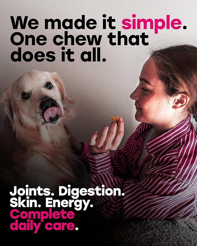 24-in-1 Dog Multivitamin Chews – Dog Vitamins and Supplements with Glucosamine, Chondroitin, Probiotics, Salmon Oil, Biotin – Daily Mobility, Digestion, Skin and Coat Support, Beef Flavor