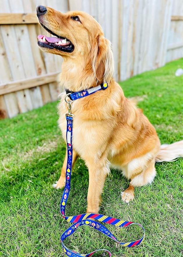 Lucky Love Dog - Adjustable Dog Collar with Easy Click Buckle for Small Dogs, Durable, & Comfortable for Male & Female Dogs, Pet Collar for Puppies & Adult Dogs - Mackey, Small