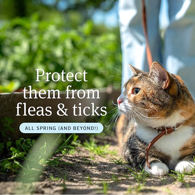 PetArmor Plus Flea and Tick Prevention for Cats over 1.5 lbs, Cat Flea and Tick Treatment, 1 Dose, Waterproof Topical, Fast Acting