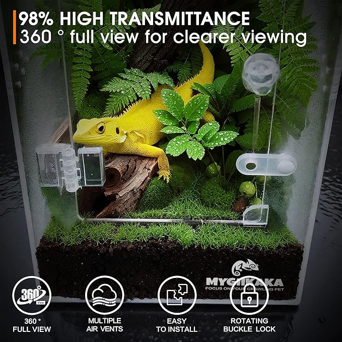 MYGIIKAKA Jumping Spider Enclosure Accessories, Tarantula Spider Box, Bug Cage, Praying Mantis Habitat Enclosure, Snail Insect Terrarium, Caterpillar Habitat (6x6x12 inch)