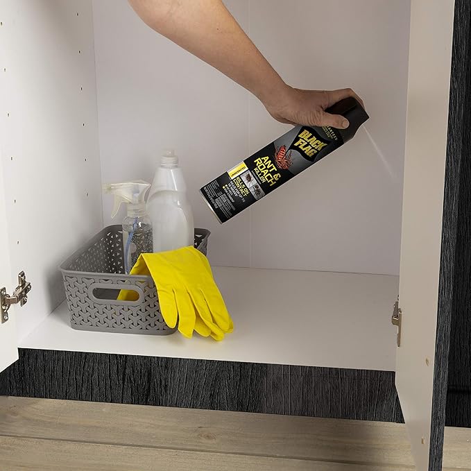 Black Flag Ant & Roach Killer Aerosol, Unscented, 17.5-Ounce, 12-Pack