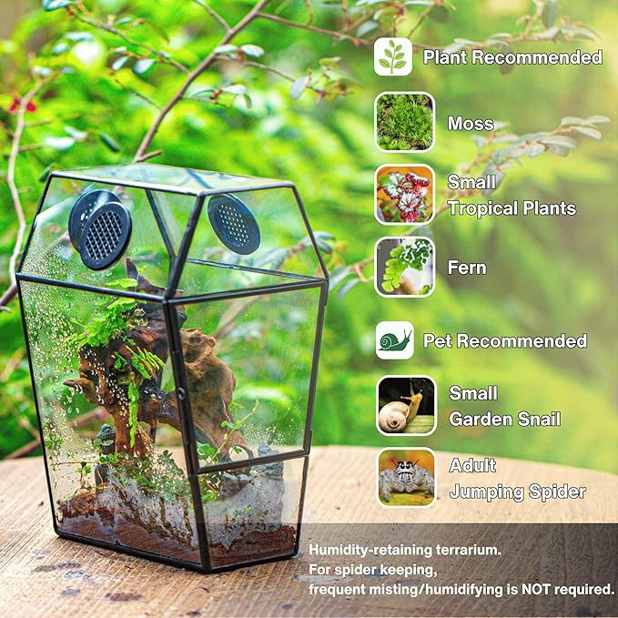 NCYP Gothic Glass Enclosure for Jumping Spider, Snails, Insects - Front Opening Door Geometric Terrarium with Vent Holes, Indoor Tabletop Coffin Shape Decor, Black (Terrarium Only)