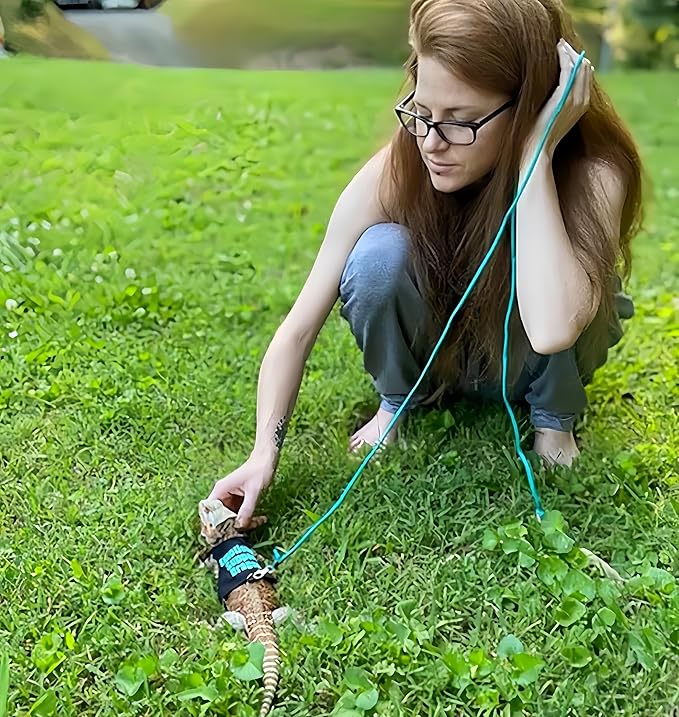 2 Pack Bearded Dragon Harness and Leash Set,Escape Proof Lizard Reptiles Harness Small Animal Traction Rope Training Walking Vest for Reptile Squirrel Rat-Blue&Green