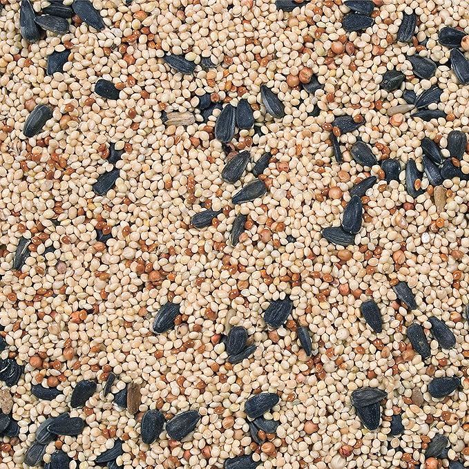 Wild Delight Buffet for Wild Birds, 10 lb