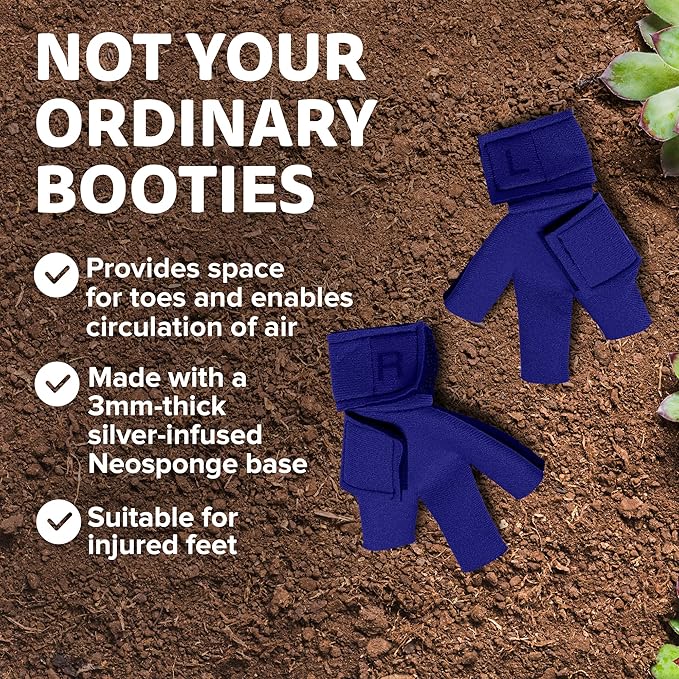 Chicken Shoes for Injured Feet – Protective Neoprene Footwear for Chicken, Open-Toe Design for Bumblefoot Relief, Made in USA - Large, 4" Max. Inside Width, Royal Blue