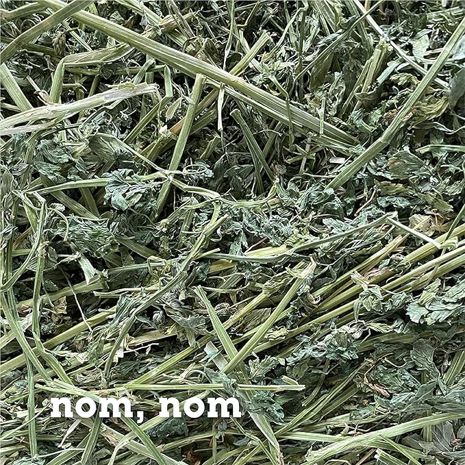 Bulk Fresh Alfalfa Hay 80oz by Bunny Honey - USDA Organic Hay for Small Select Pets, Guinea Pigs, Rabbits, Hamsters - Best Cut & Delivered Fresh - Promotes Healthy Digestive Function - 5 Pound