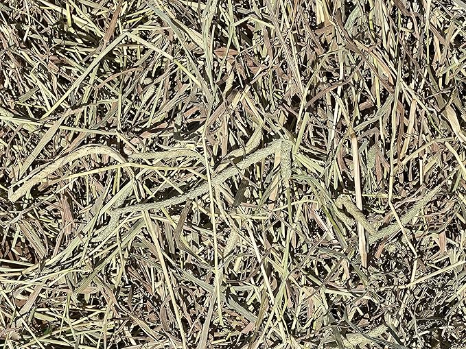 Fox Peak Timothy Hay Rabbits, Guinea Pigs, Chinchilla Food (2 lb.)