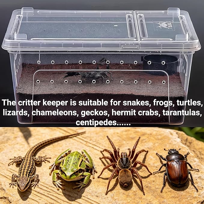 Tlence 2 Pack Critter Keeper, 12.6"x8.7"x6" Clear Plastic Enclosure Terrarium, Portable Transport Container with Feeding Bowl, Small Hatching Container with Ventilated Lid for Snake, Lizard, Gecko