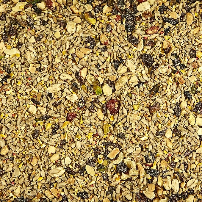 Kaytee Wild Bird Food, 5.5 Pound | Waste Free | Nut and Fruit Blend | For Multiple Bird Species | Pack of 2