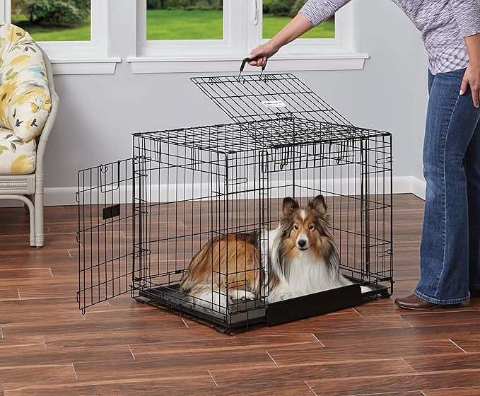 MidWest Homes for Pets Medium Ovation Double Door 30-inch Folding Metal Dog Crate, Front and Up & Away Side Doors, Space-Saving Design