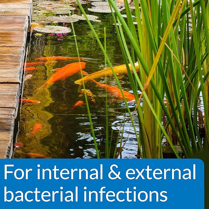 PondCare® PimaFix Antifungal Remedy for Koi & Goldfish (16 oz.)