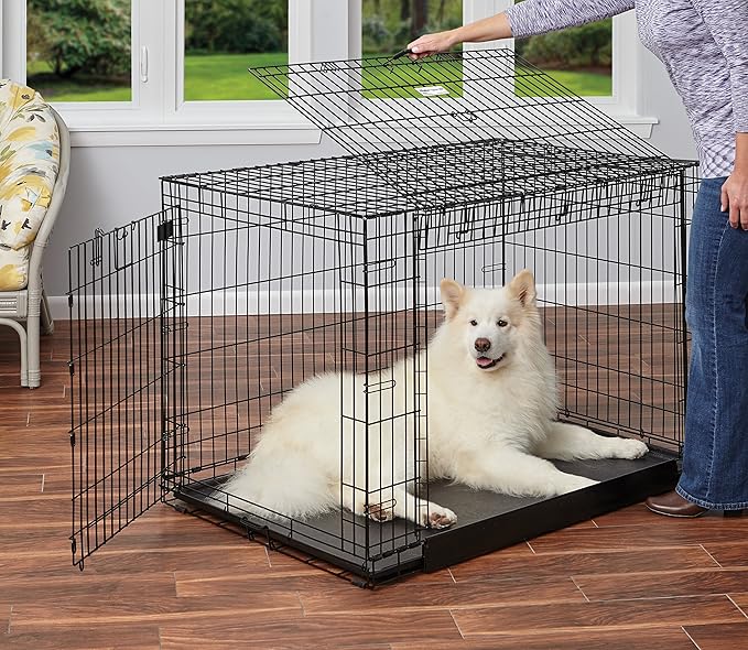 MidWest Homes for Pets XL Ovation Double Door 48-inch Folding Metal Dog Crate, Front and Up & Away Side Doors, Space-Saving Design