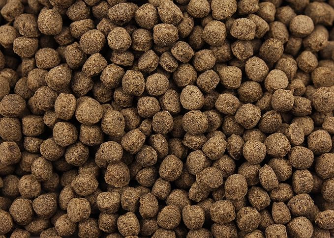 Turtle Bites (1 oz)